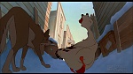 Image Balto