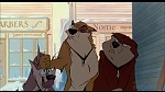 Image Balto