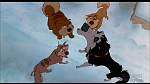 Image Balto