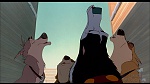 Image Balto