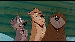 Image Balto