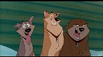 Image Balto