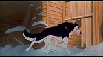 Image Balto