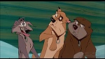 Image Balto
