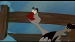 Image Balto