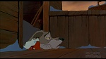 Image Balto