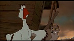 Image Balto