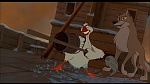 Image Balto