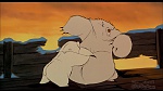 Image Balto