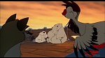 Image Balto