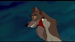 Image Balto