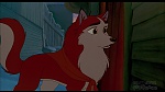 Image Balto