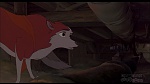 Image Balto