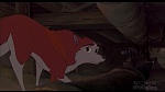 Image Balto