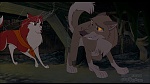 Image Balto