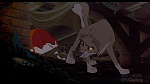 Image Balto