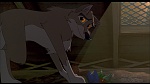Image Balto