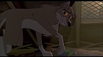 Image Balto