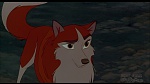 Image Balto
