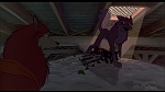 Image Balto