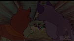 Image Balto