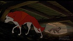 Image Balto