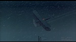 Image Balto