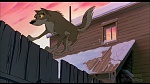 Image Balto