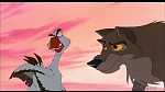 Image Balto