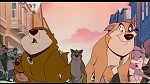Image Balto