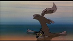 Image Balto