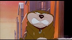 Image Balto