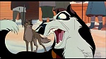 Image Balto