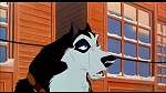 Image Balto