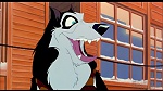 Image Balto