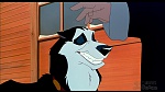 Image Balto