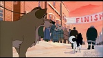 Image Balto