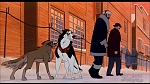 Image Balto