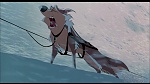 Image Balto