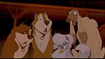Balto picture