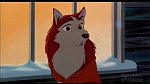 Image Balto