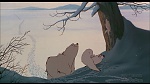 Image Balto