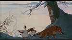 Image Balto