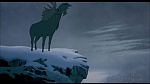 Image Balto