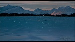 Image Balto