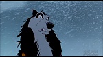 Image Balto