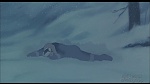 Image Balto