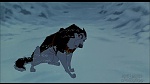 Image Balto