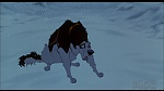 Image Balto