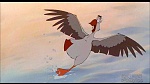 Balto picture